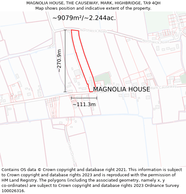 MAGNOLIA HOUSE, THE CAUSEWAY, MARK, HIGHBRIDGE, TA9 4QH: Plot and title map