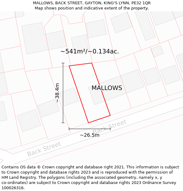 MALLOWS, BACK STREET, GAYTON, KING'S LYNN, PE32 1QR: Plot and title map