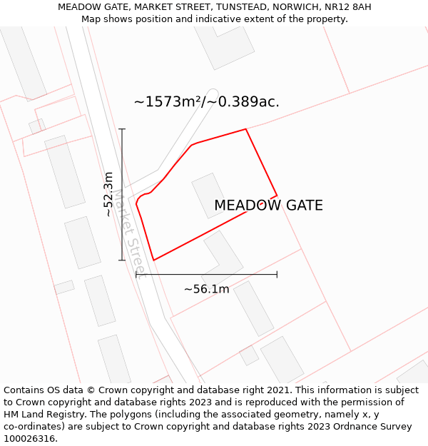 MEADOW GATE, MARKET STREET, TUNSTEAD, NORWICH, NR12 8AH: Plot and title map