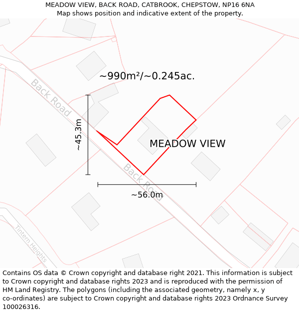 MEADOW VIEW, BACK ROAD, CATBROOK, CHEPSTOW, NP16 6NA: Plot and title map