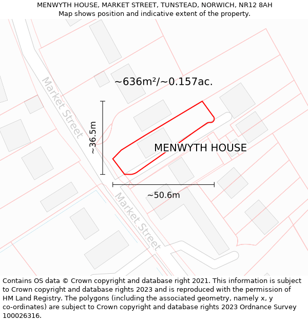 MENWYTH HOUSE, MARKET STREET, TUNSTEAD, NORWICH, NR12 8AH: Plot and title map