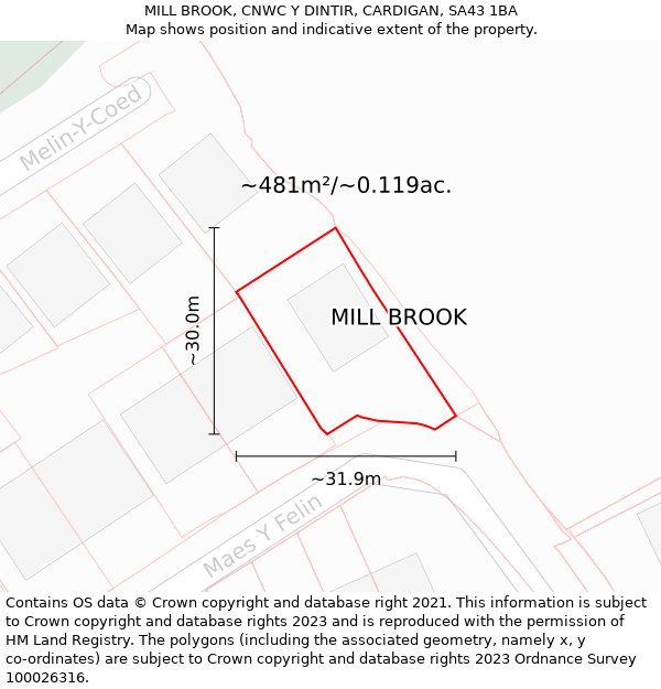 MILL BROOK, CNWC Y DINTIR, CARDIGAN, SA43 1BA: Plot and title map