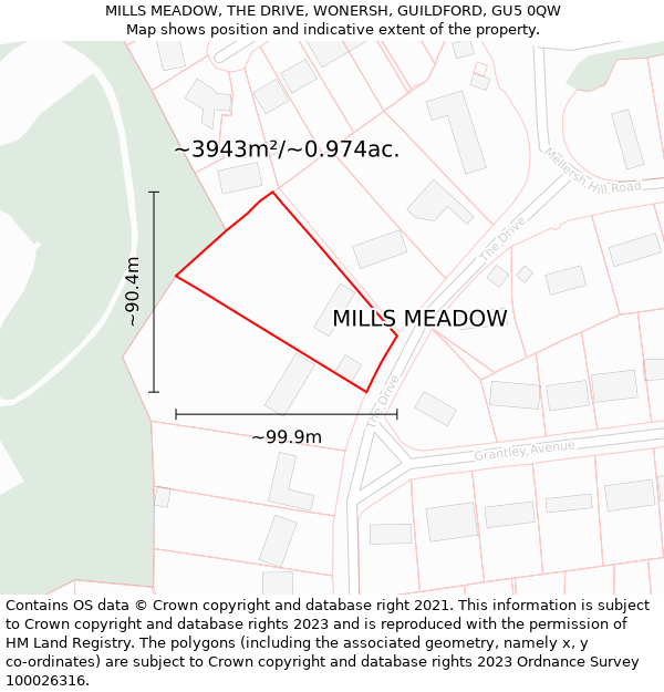 MILLS MEADOW, THE DRIVE, WONERSH, GUILDFORD, GU5 0QW: Plot and title map