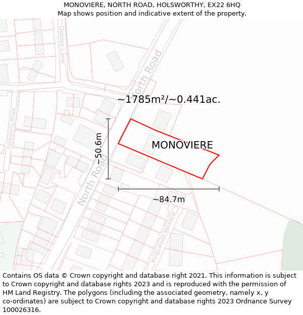 MONOVIERE, NORTH ROAD, HOLSWORTHY, EX22 6HQ: Plot and title map