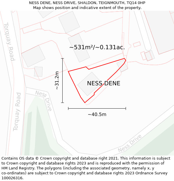 NESS DENE, NESS DRIVE, SHALDON, TEIGNMOUTH, TQ14 0HP: Plot and title map