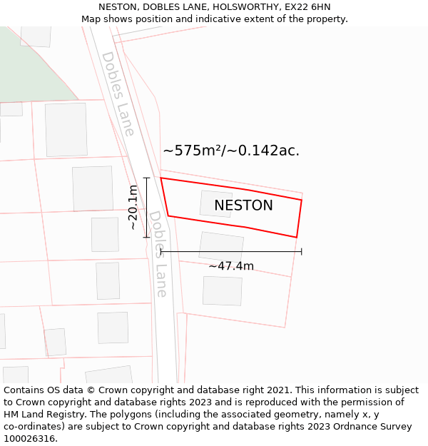 NESTON, DOBLES LANE, HOLSWORTHY, EX22 6HN: Plot and title map
