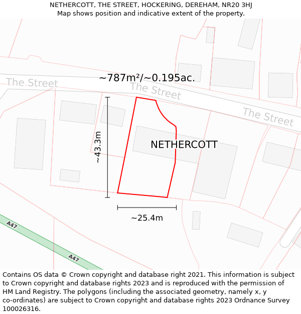 NETHERCOTT, THE STREET, HOCKERING, DEREHAM, NR20 3HJ: Plot and title map
