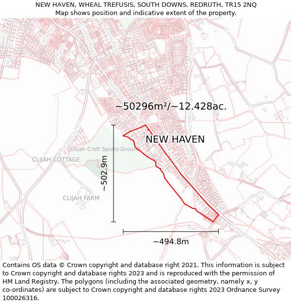 NEW HAVEN, WHEAL TREFUSIS, SOUTH DOWNS, REDRUTH, TR15 2NQ: Plot and title map