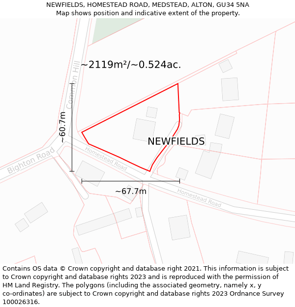NEWFIELDS, HOMESTEAD ROAD, MEDSTEAD, ALTON, GU34 5NA: Plot and title map