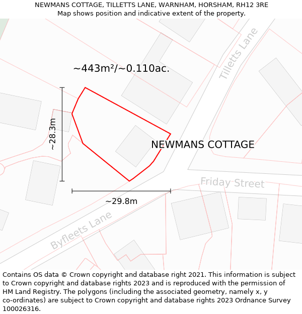 NEWMANS COTTAGE, TILLETTS LANE, WARNHAM, HORSHAM, RH12 3RE: Plot and title map