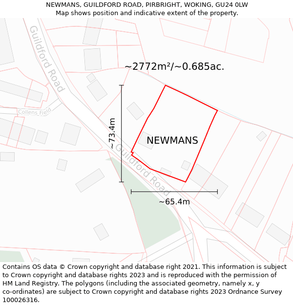 NEWMANS, GUILDFORD ROAD, PIRBRIGHT, WOKING, GU24 0LW: Plot and title map