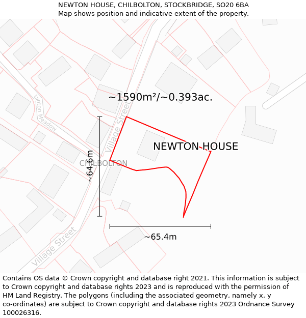 NEWTON HOUSE, CHILBOLTON, STOCKBRIDGE, SO20 6BA: Plot and title map