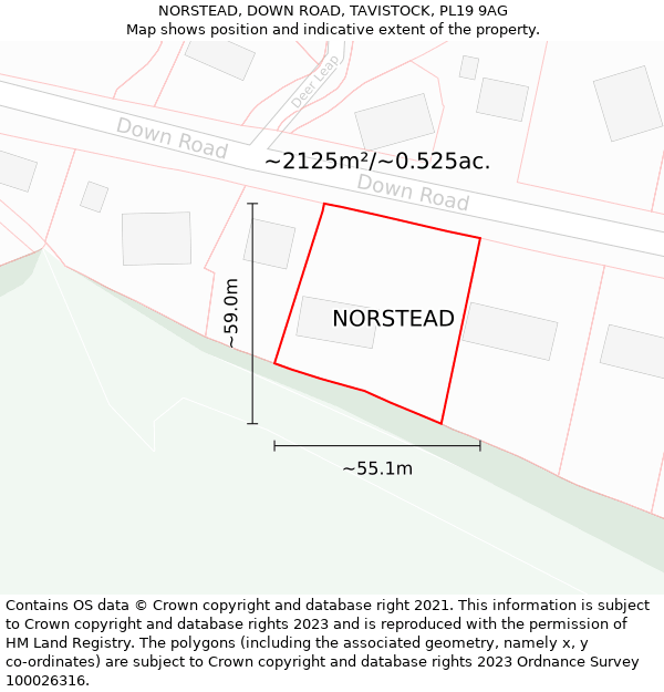 NORSTEAD, DOWN ROAD, TAVISTOCK, PL19 9AG: Plot and title map