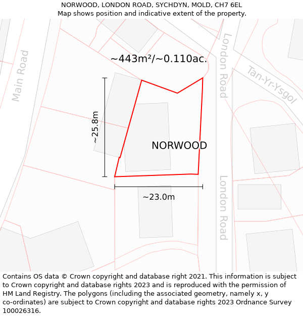 NORWOOD, LONDON ROAD, SYCHDYN, MOLD, CH7 6EL: Plot and title map