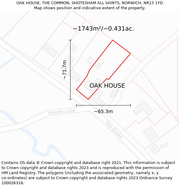 OAK HOUSE, THE COMMON, SHOTESHAM ALL SAINTS, NORWICH, NR15 1YD: Plot and title map