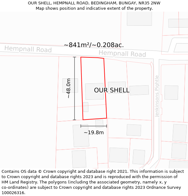 OUR SHELL, HEMPNALL ROAD, BEDINGHAM, BUNGAY, NR35 2NW: Plot and title map