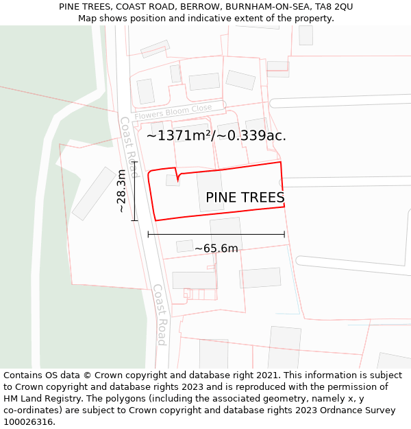 PINE TREES, COAST ROAD, BERROW, BURNHAM-ON-SEA, TA8 2QU: Plot and title map