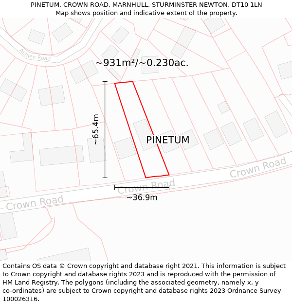 PINETUM, CROWN ROAD, MARNHULL, STURMINSTER NEWTON, DT10 1LN: Plot and title map