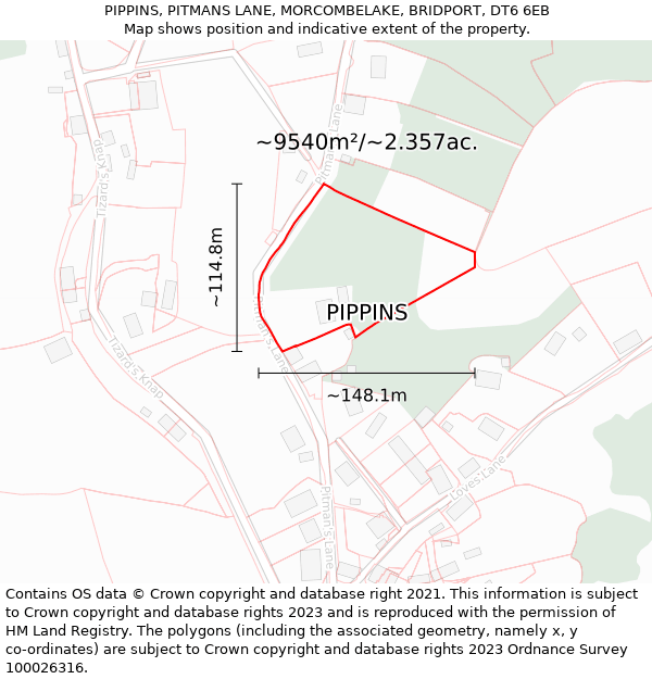 PIPPINS, PITMANS LANE, MORCOMBELAKE, BRIDPORT, DT6 6EB: Plot and title map