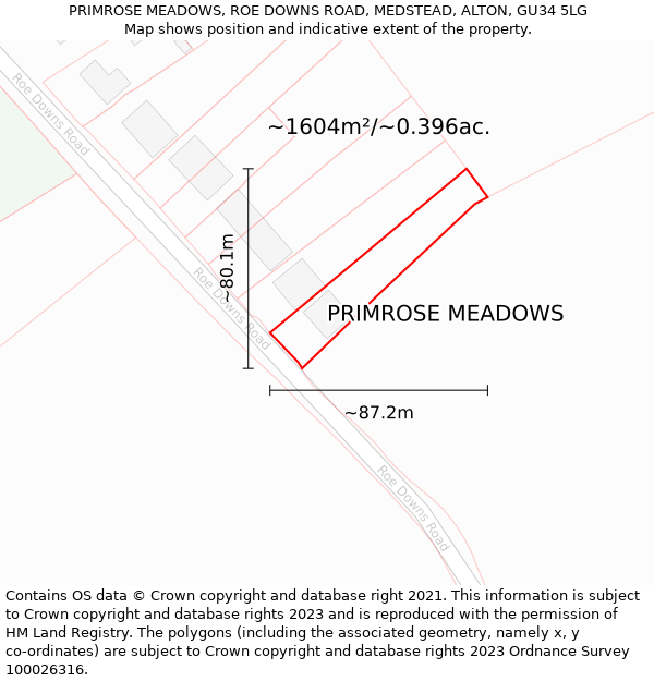 PRIMROSE MEADOWS, ROE DOWNS ROAD, MEDSTEAD, ALTON, GU34 5LG: Plot and title map