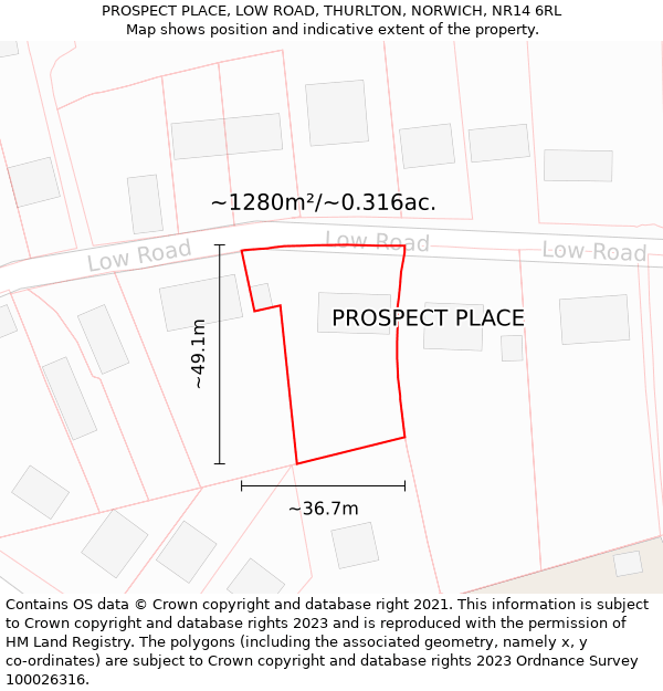 PROSPECT PLACE, LOW ROAD, THURLTON, NORWICH, NR14 6RL: Plot and title map