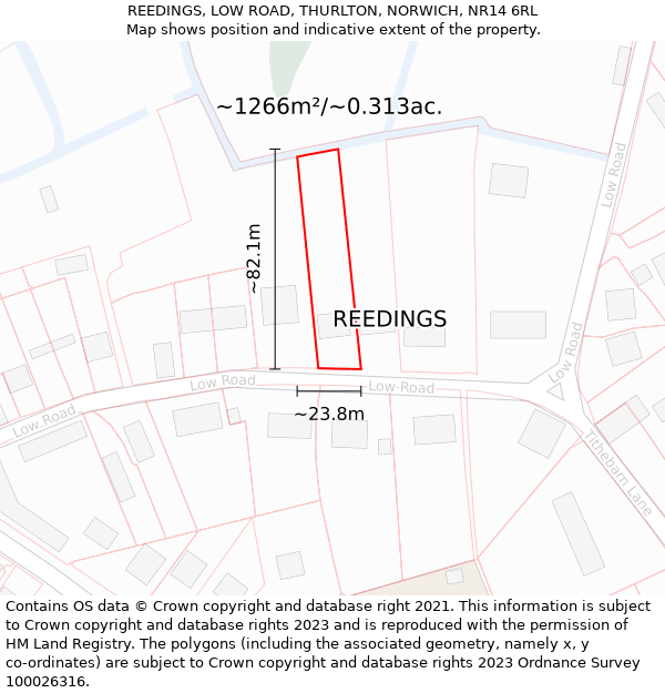 REEDINGS, LOW ROAD, THURLTON, NORWICH, NR14 6RL: Plot and title map