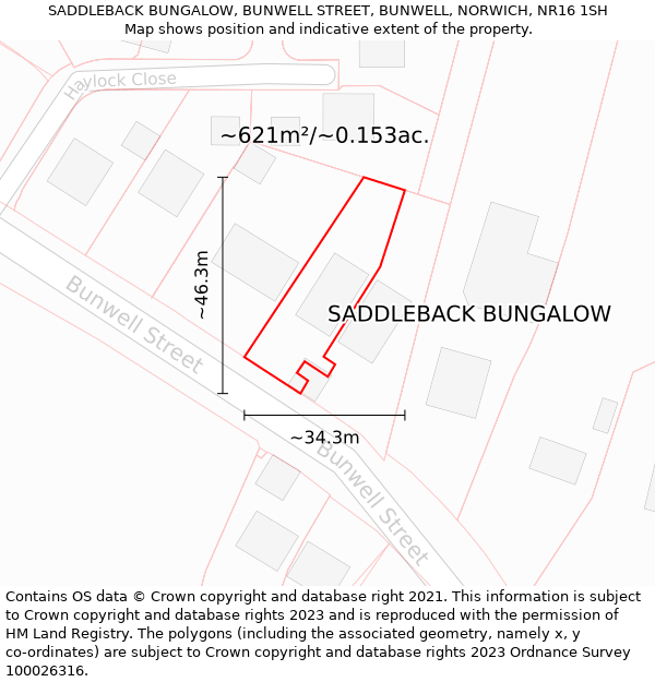SADDLEBACK BUNGALOW, BUNWELL STREET, BUNWELL, NORWICH, NR16 1SH: Plot and title map