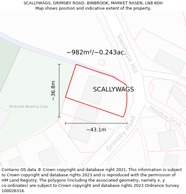 SCALLYWAGS, GRIMSBY ROAD, BINBROOK, MARKET RASEN, LN8 6DH: Plot and title map