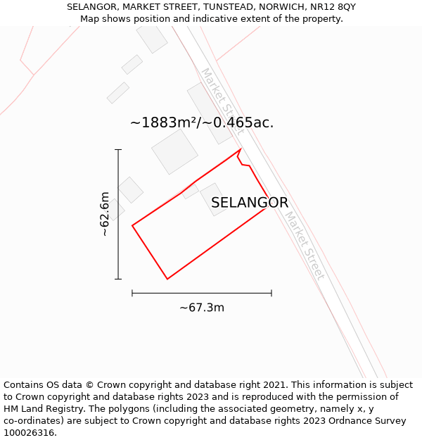 SELANGOR, MARKET STREET, TUNSTEAD, NORWICH, NR12 8QY: Plot and title map