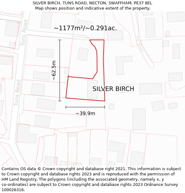 SILVER BIRCH, TUNS ROAD, NECTON, SWAFFHAM, PE37 8EL: Plot and title map