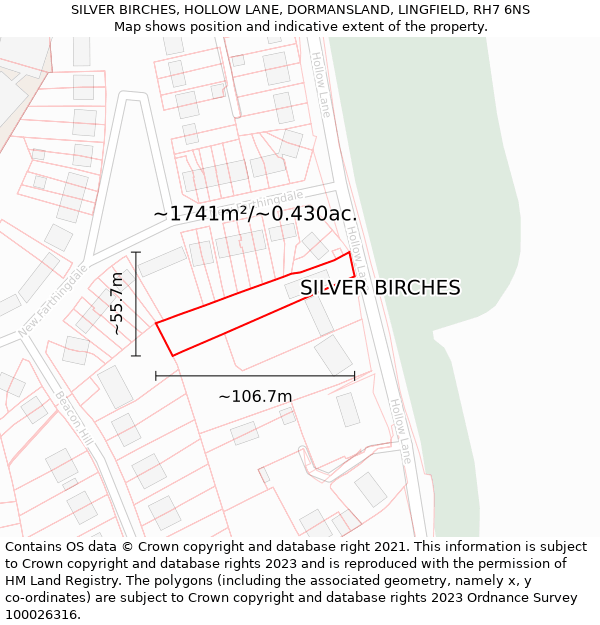 SILVER BIRCHES, HOLLOW LANE, DORMANSLAND, LINGFIELD, RH7 6NS: Plot and title map