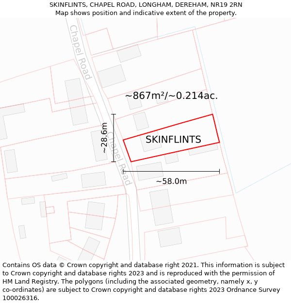 SKINFLINTS, CHAPEL ROAD, LONGHAM, DEREHAM, NR19 2RN: Plot and title map