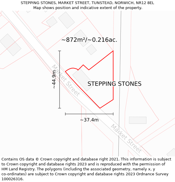 STEPPING STONES, MARKET STREET, TUNSTEAD, NORWICH, NR12 8EL: Plot and title map