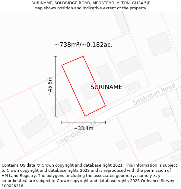 SURINAME, SOLDRIDGE ROAD, MEDSTEAD, ALTON, GU34 5JF: Plot and title map