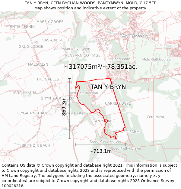 TAN Y BRYN, CEFN BYCHAN WOODS, PANTYMWYN, MOLD, CH7 5EP: Plot and title map