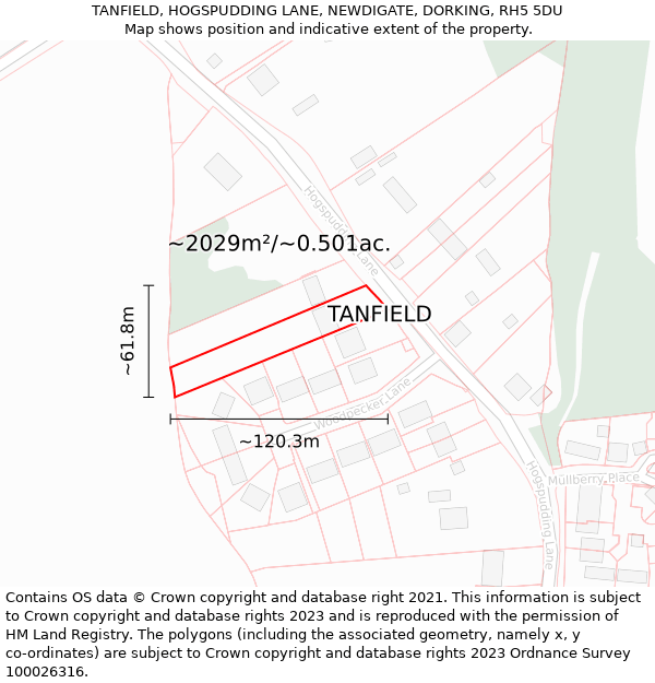 TANFIELD, HOGSPUDDING LANE, NEWDIGATE, DORKING, RH5 5DU: Plot and title map