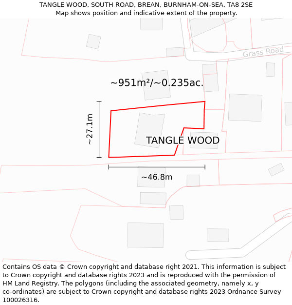 TANGLE WOOD, SOUTH ROAD, BREAN, BURNHAM-ON-SEA, TA8 2SE: Plot and title map