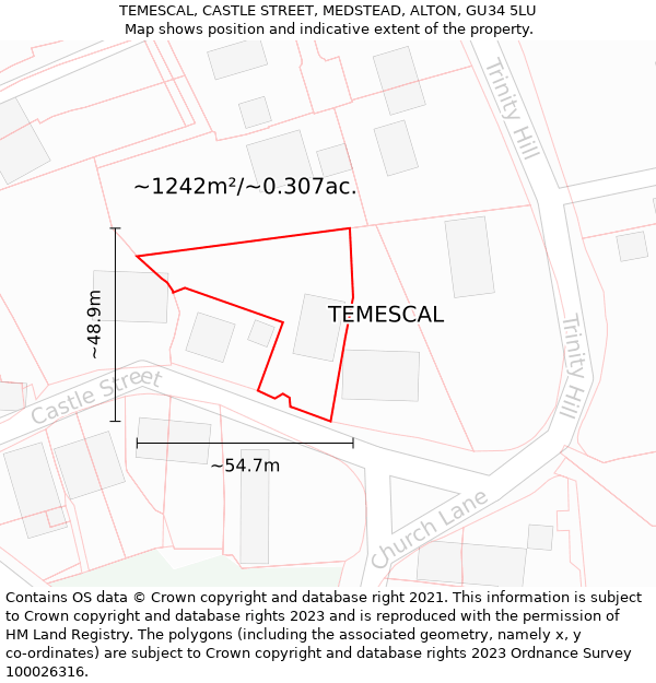 TEMESCAL, CASTLE STREET, MEDSTEAD, ALTON, GU34 5LU: Plot and title map