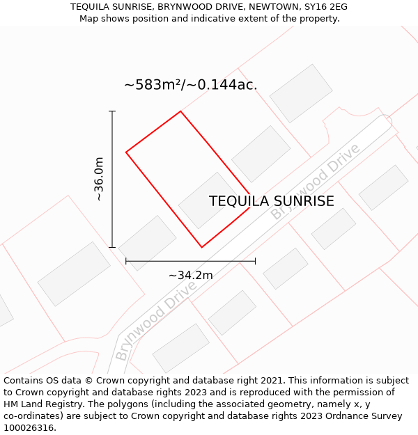 TEQUILA SUNRISE, BRYNWOOD DRIVE, NEWTOWN, SY16 2EG: Plot and title map