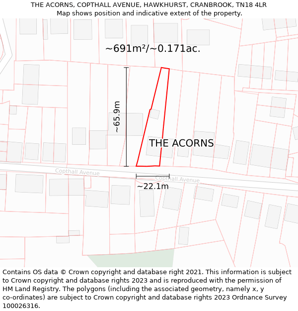 THE ACORNS, COPTHALL AVENUE, HAWKHURST, CRANBROOK, TN18 4LR: Plot and title map