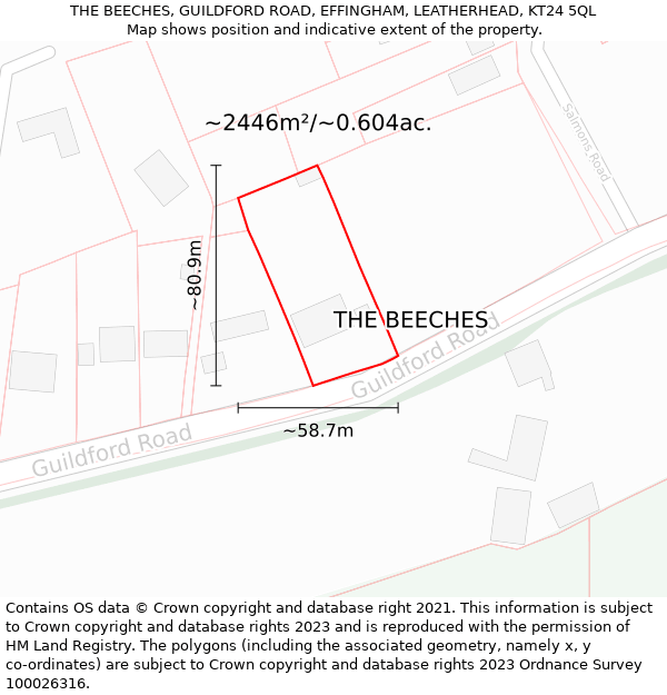 THE BEECHES, GUILDFORD ROAD, EFFINGHAM, LEATHERHEAD, KT24 5QL: Plot and title map