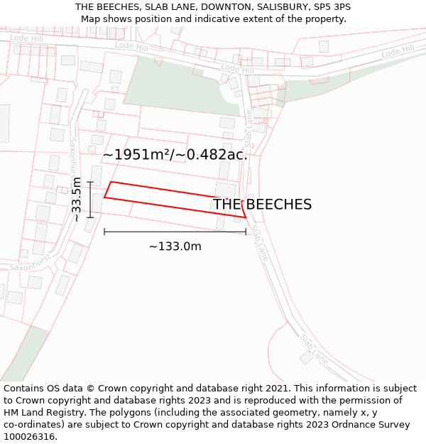 THE BEECHES, SLAB LANE, DOWNTON, SALISBURY, SP5 3PS: Plot and title map