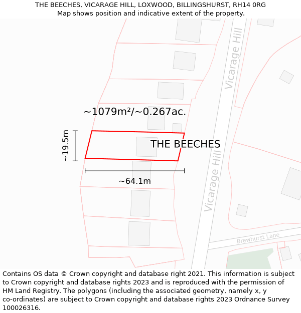 THE BEECHES, VICARAGE HILL, LOXWOOD, BILLINGSHURST, RH14 0RG: Plot and title map