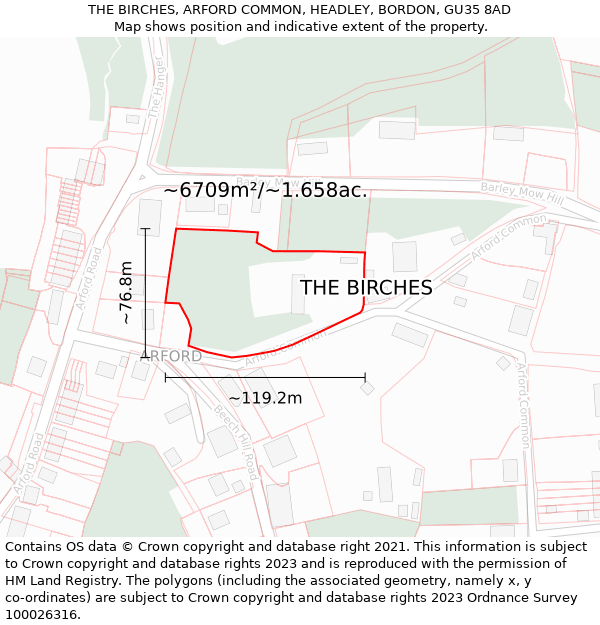 THE BIRCHES, ARFORD COMMON, HEADLEY, BORDON, GU35 8AD: Plot and title map