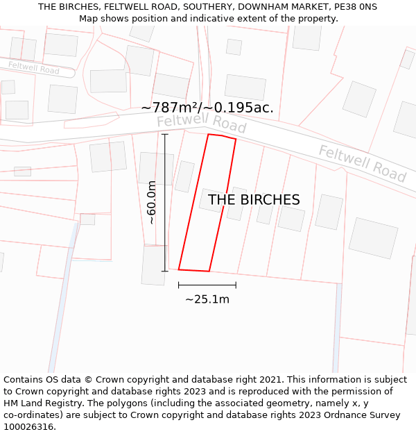 THE BIRCHES, FELTWELL ROAD, SOUTHERY, DOWNHAM MARKET, PE38 0NS: Plot and title map