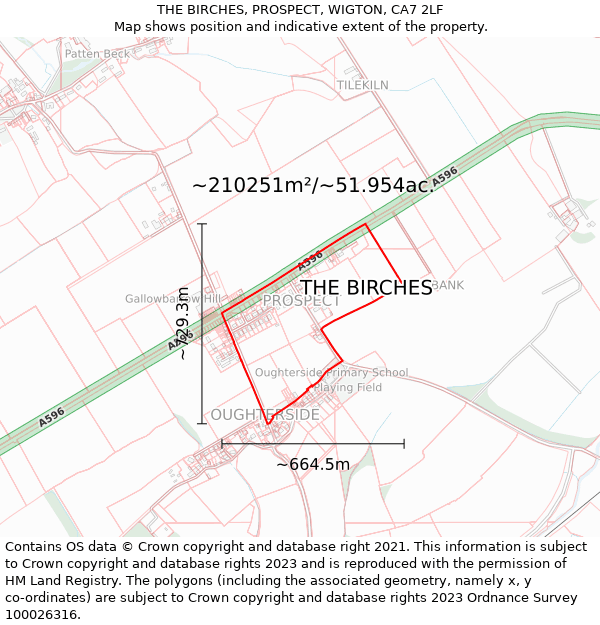 THE BIRCHES, PROSPECT, WIGTON, CA7 2LF: Plot and title map