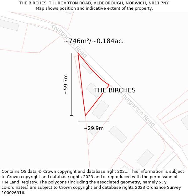 THE BIRCHES, THURGARTON ROAD, ALDBOROUGH, NORWICH, NR11 7NY: Plot and title map