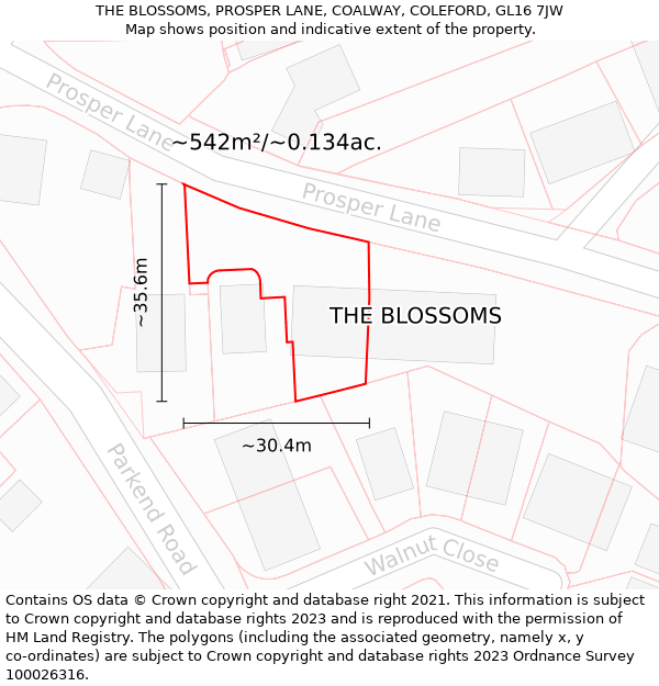 THE BLOSSOMS, PROSPER LANE, COALWAY, COLEFORD, GL16 7JW: Plot and title map