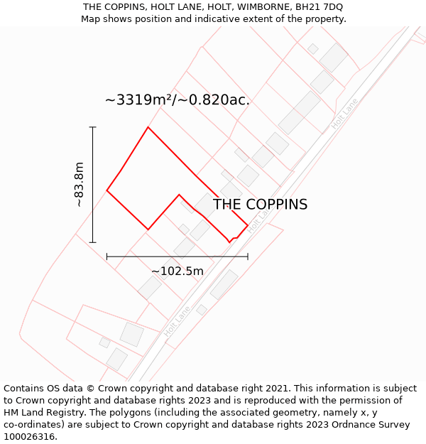 THE COPPINS, HOLT LANE, HOLT, WIMBORNE, BH21 7DQ: Plot and title map