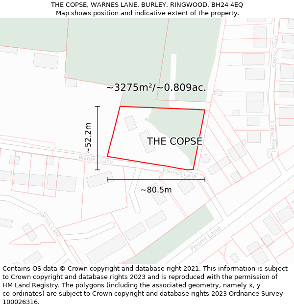 THE COPSE, WARNES LANE, BURLEY, RINGWOOD, BH24 4EQ: Plot and title map